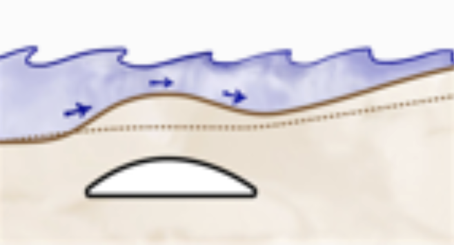 NEW SANDBAR MIGRATION